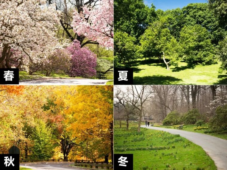 案例分享| 植物景观设计，季相色彩搭配_33
