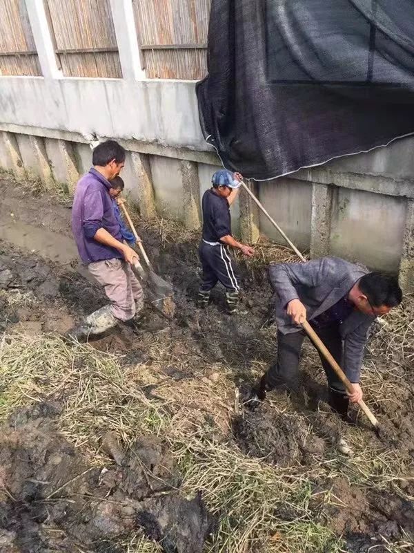 狠抓河道整治、提升河流生态品质-716999119.jpg