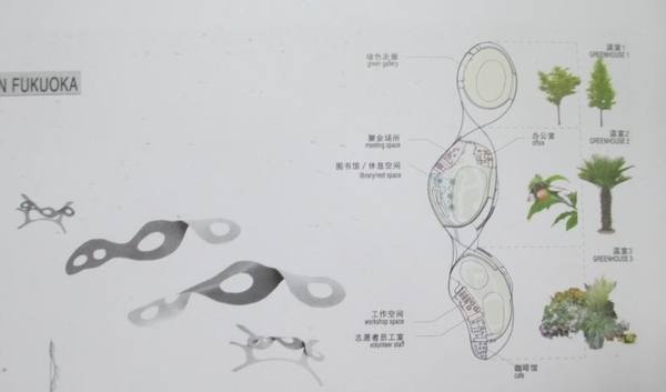 为什么伊东丰雄在建筑界获得的评价很高？_20