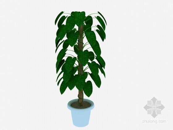 景观植物su3D模型资料下载-绿色植物3D模型下载