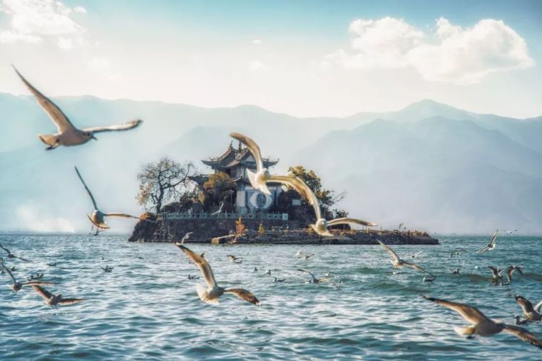 杭州西湖同志公园资料下载-除了苍山和洱海，大理还有什么？