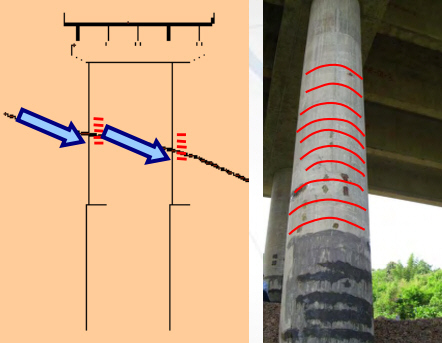 桥梁检测评估与养护-墩柱环向裂缝