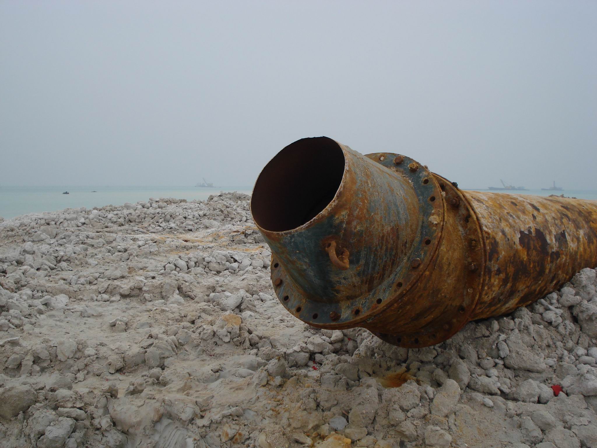 发几张吹填的的图给大家看看