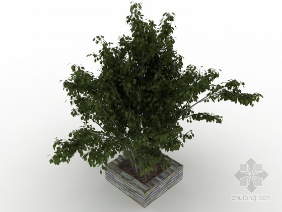 植物材质贴图资料下载-树3d模型下载