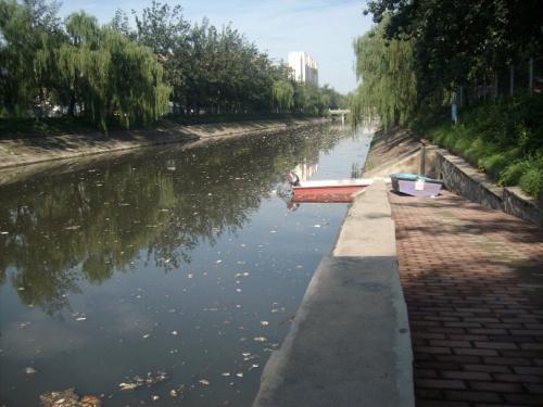 上海绿化改造方案资料下载-[上海]奉浦社区积水点雨水排水改造工程施工组织设计