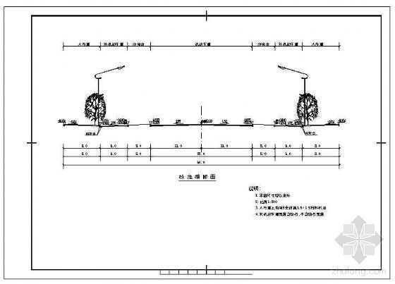 30米标准横断面资料下载-道路标准横断面节点构造详图