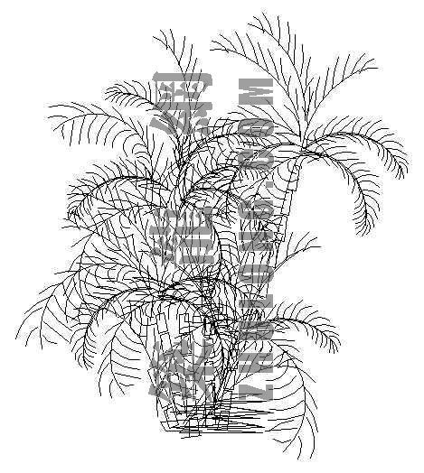 植物草花立面CAD资料下载-植物立面7