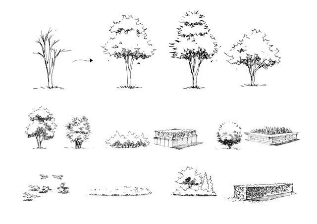 私家庭院景观设计手绘资料下载-[景观设计手绘]纯干货！