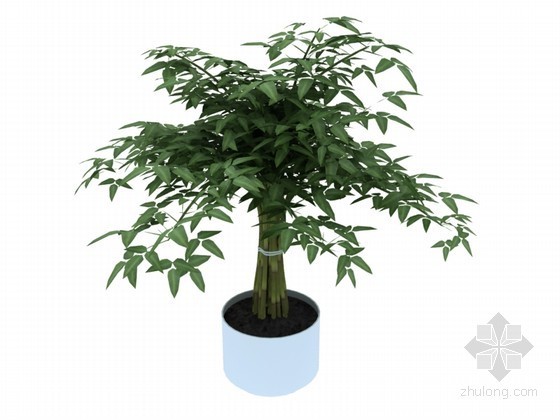 绿植室内盆栽资料下载-盆栽绿植3D模型下载