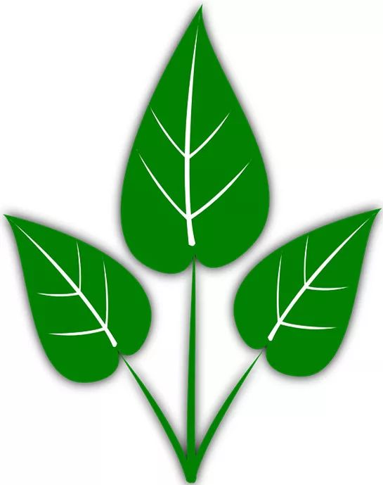 绿化带图标图片