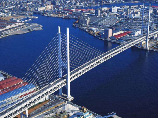 广东省高速公路预算书资料下载-泰东高速公路项目桥梁工程作业指导书