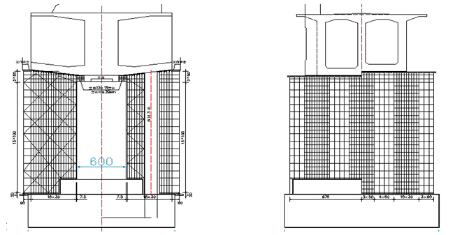 跨高速公路连续梁挂篮法专项施工方案288页（含CAD图计算书）-脚手架布置正面图和侧面图