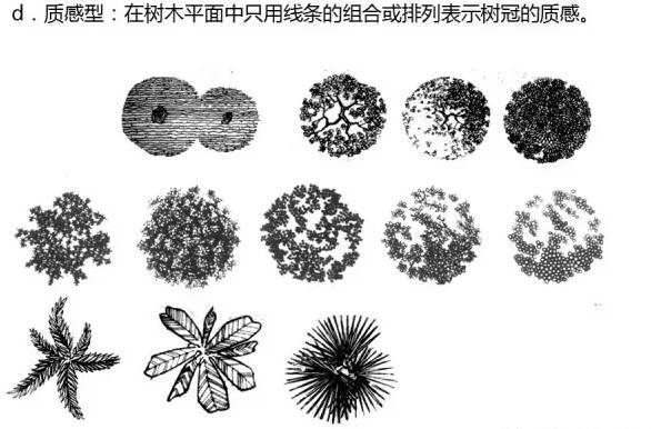 景观快题设计中植物表达技法！_8