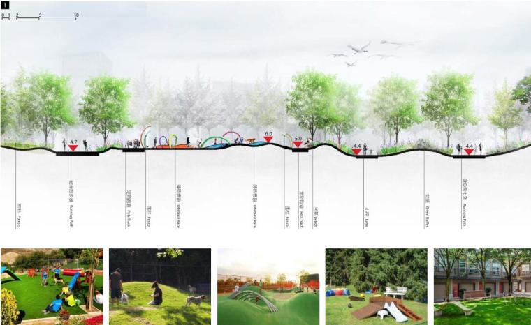 [上海]知名地产安亭体育公园景观最终概念设计（PDF+96页） -宠物乐园剖面
