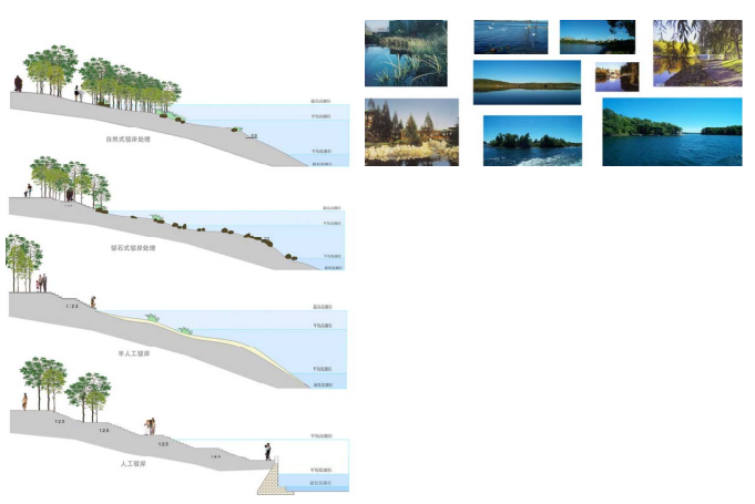 [江苏]泗阳成子湖旅游度假区总体规划设计-旅游度假区总体规划设计——驳岸处理意向