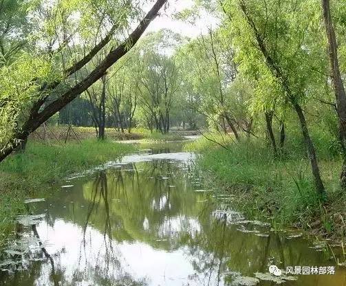 生态修复景观设计图纸资料下载-生态修复与生态恢复的那些梗你知道多少？