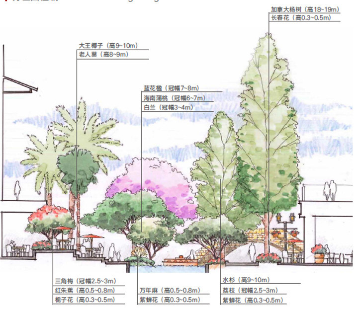 [广东]综合性滨河步行商业街景观方案设计（效果图精美）-剖面图