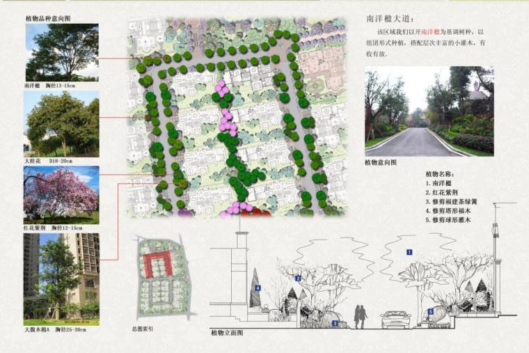 [广东]银胡山庄居住区设计景观方案竞赛文本（包含PDF+95页）-植物选择图