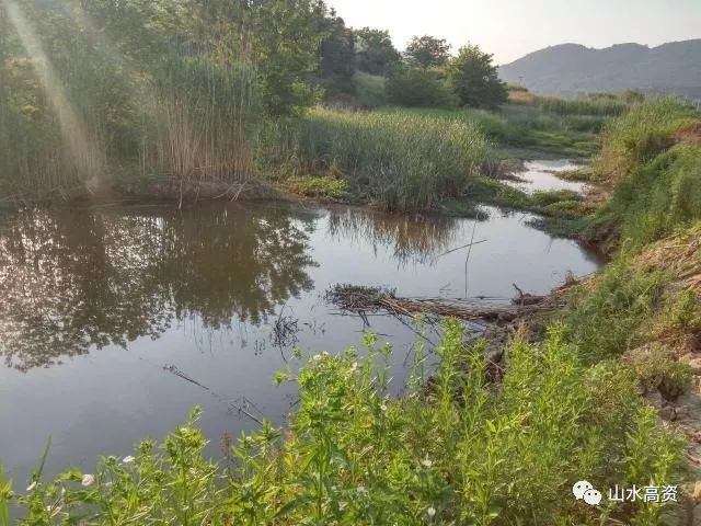 消除区域黑臭水体——河塘河道清淤工程_22