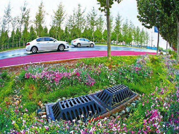 市政绿化植物设计资料下载-“海绵城市”在市政道路排水设计中的应用