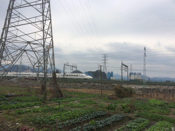 连续梁计算书模板资料下载-[温州]特大桥上跨铁路转体刚构连续梁施工方案(含计算书共158页)