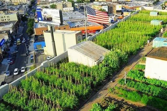 这样的屋顶花园资料下载-这个屋顶花园农场，可以生产2.27万公斤“有机食物”！