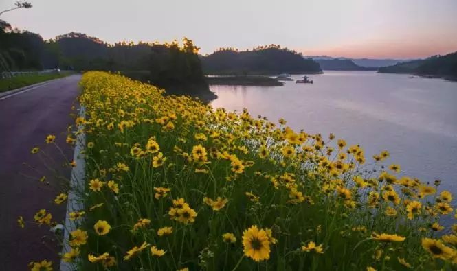 十一黄金周避开人群来千岛湖赏湖光山色，睡精品美宿_36