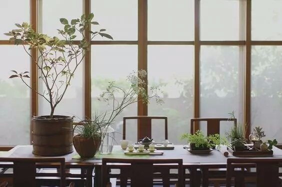 su中式植物资料下载-让新中式韵味悠长的植物