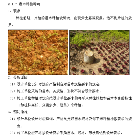 园林景观工程质量通病与防治指引（附图）-灌木种植稀疏