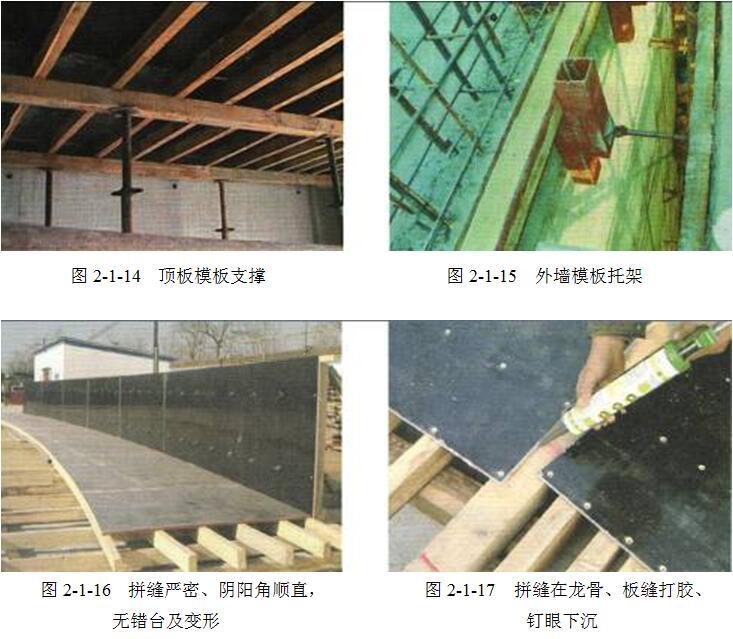 建筑工程创建鲁班奖工程策划、实施及复查指导手册（530页，图文并茂）-模板安装后观感质量