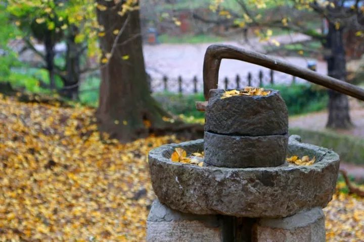 世界级银杏村的千年寺庙里_30