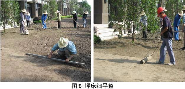 观赏草坪怎么建植，方法在这拿走不谢！_10