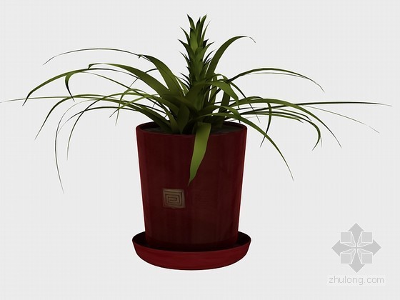 景观植物su3D模型资料下载-精致植物3D模型下载