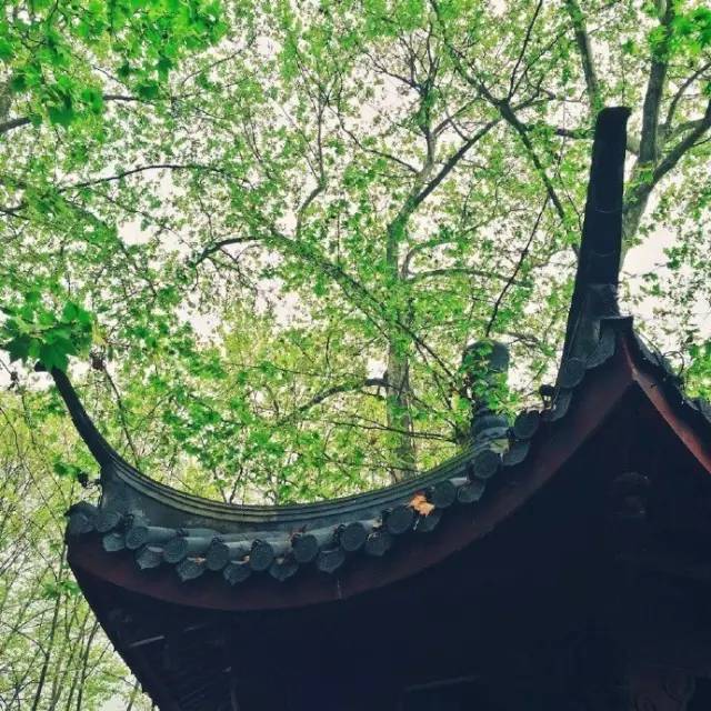 中式园林，中国人的造梦艺术_23