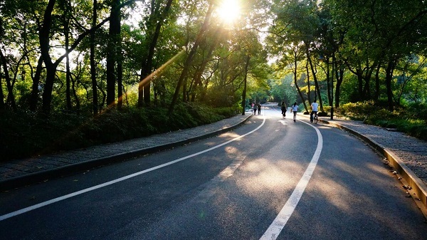 单篦雨水口资料下载-[广东]2018年农村道路硬底化工程招标文件word227页