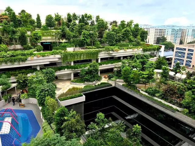 新加坡8个经典绿色建筑_7