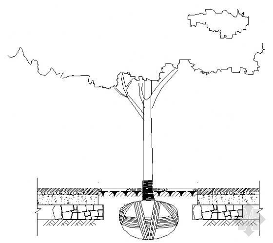 树池篦子CAD图资料下载-树池剖面图