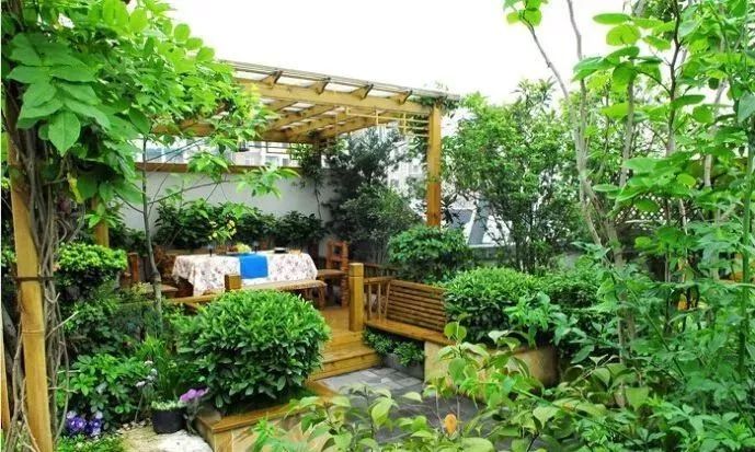庭院花园绿化资料下载-庭院绿化植物搭配要点！