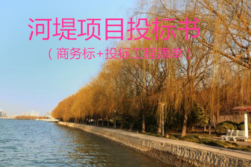 隧道工程投标清单资料下载-[上海]某河堤项目投标书（商务标+投标工程清单）