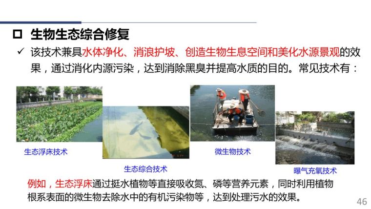74.6％的中国城市应该如何治理黑臭水体？_21
