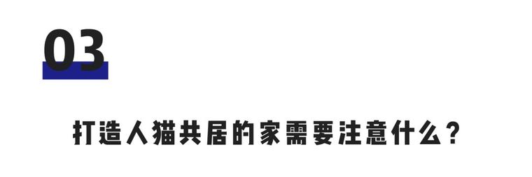 有了这40㎡的单身公寓，只想宅在家里撸猫_9