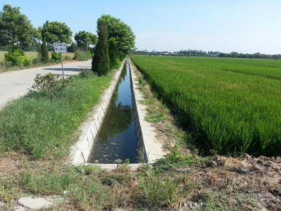 甘肃水库管涌数百亩农田被毁资料下载-600亩蔬菜基地小型农田水利项目实施方案
