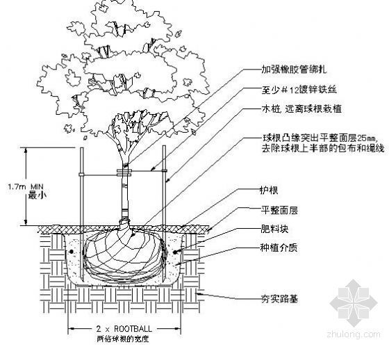 乔木大样资料下载-落叶乔木种植大样