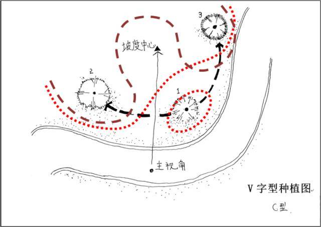 教你如何配置植物景观_20