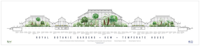 皇家植物园温室-Donald_Insall_Associates_-_Kew_-_Temperate_House