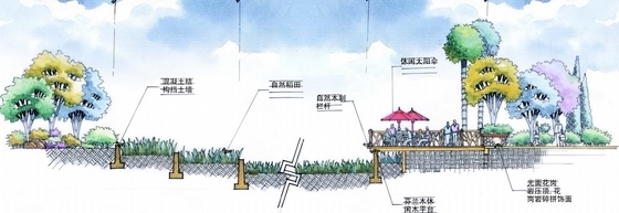[海南]“泰式”自然休闲温泉度假村景观概念设计方案-稻田剖面效果图