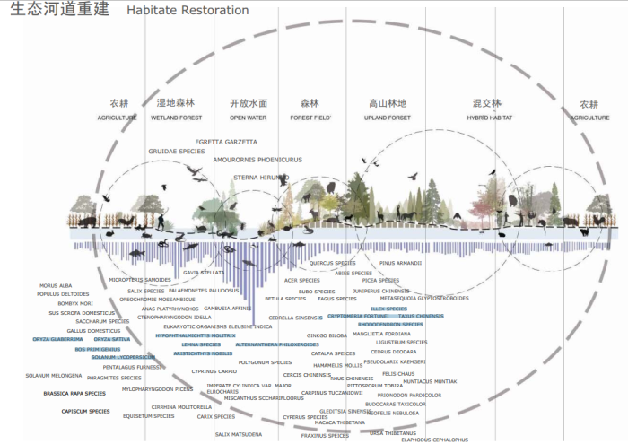 [四川]绿色城市生态滨水中心河道两岸景观规划设计方案-生态河道重建分析图