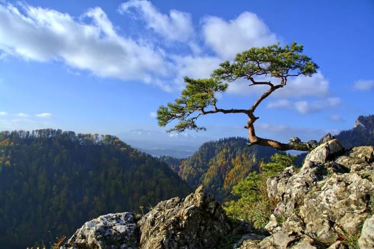 校园景观亮化资料下载-1000天，一个管培生到优秀机电造价人，如何炼就？