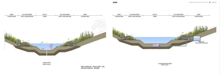 [海南]三亚椰风路项目概念景观设计文本pdf（81页）-剖面图