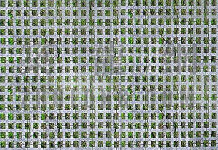道路工程镂空植草浅碟边沟设计图资料下载-植草砖